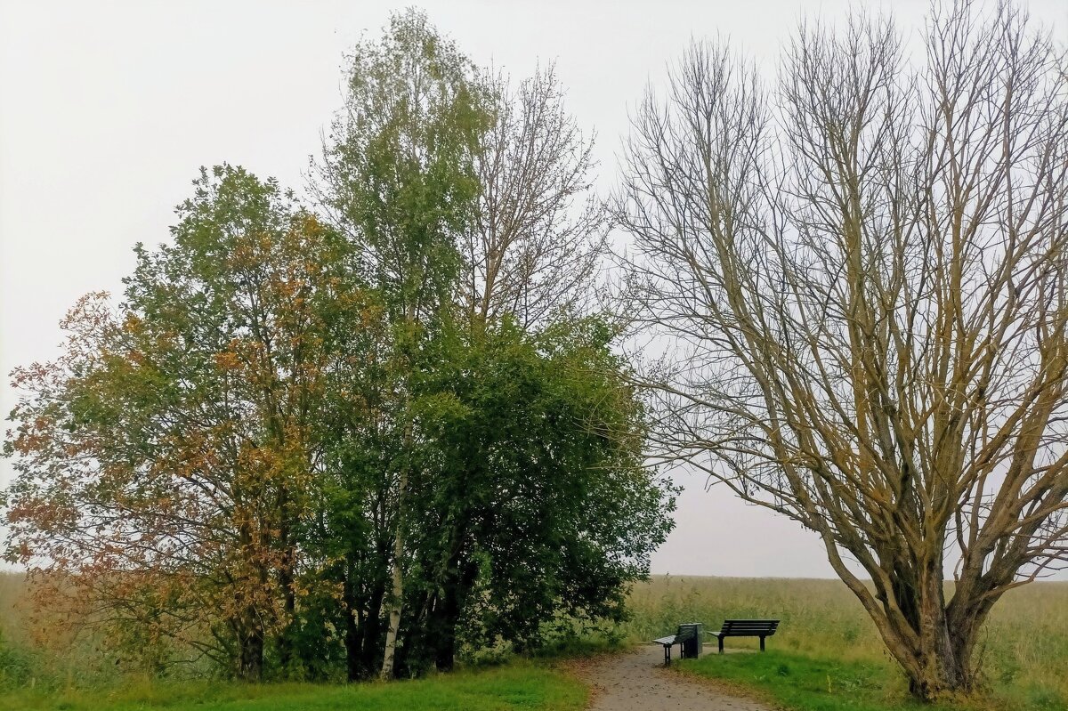 Туман, туман... - Veera V Туман, туман... - Veera V