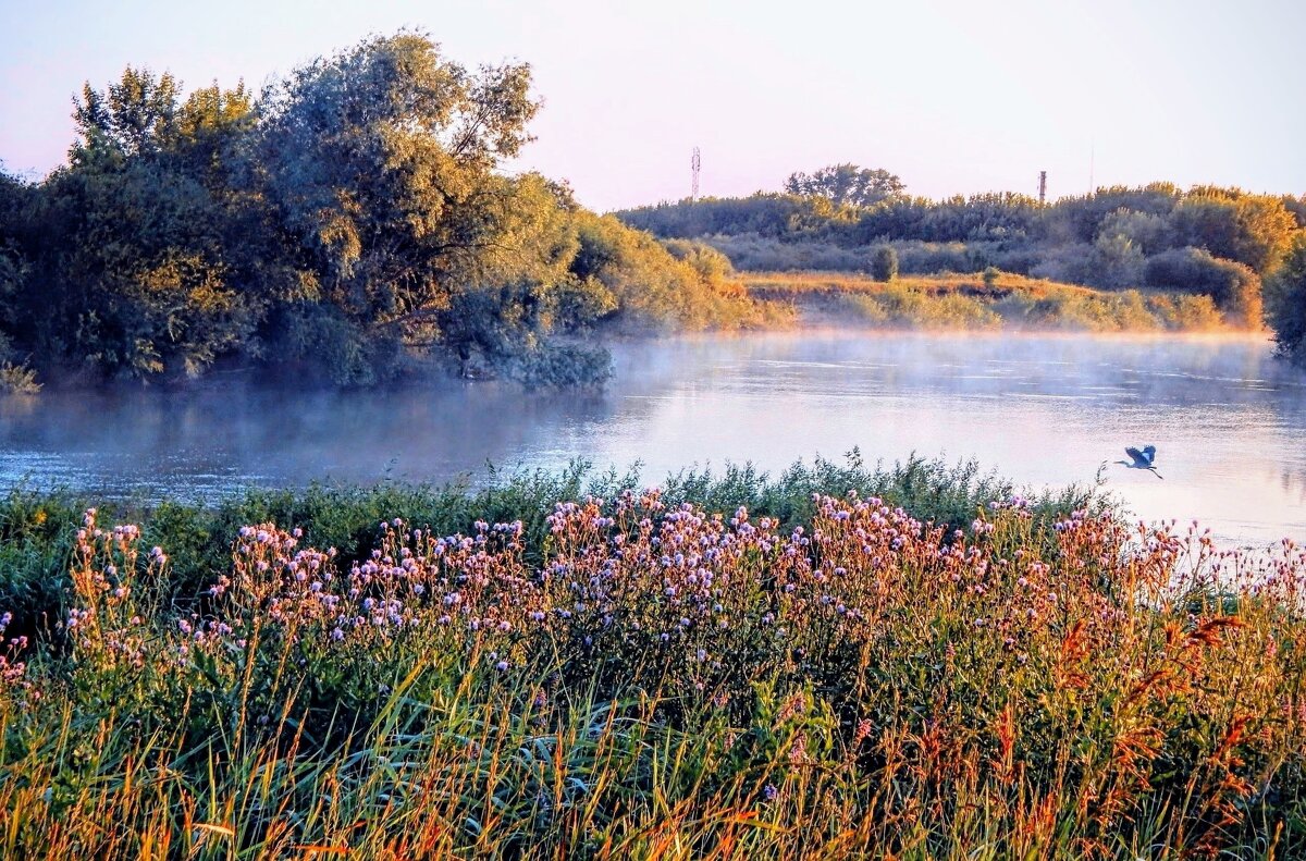 Волшебное утро! - Елена Хайдукова  ( Elena Fly )
