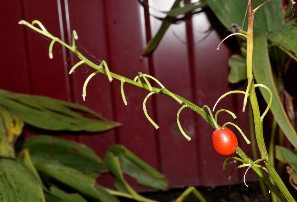 ... - Андрей Катков ... - Андрей Катков