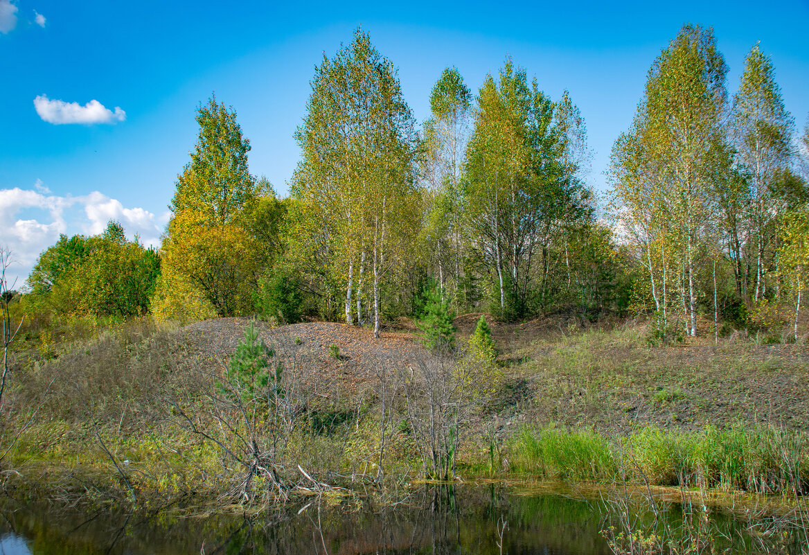 - - Владимир Мигонькин - - Владимир Мигонькин