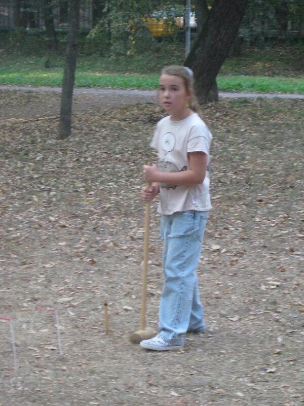 Играем в крокет - Дмитрий Никитин