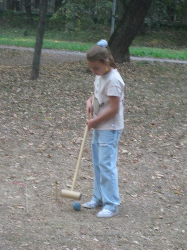 Играем в крокет - Дмитрий Никитин