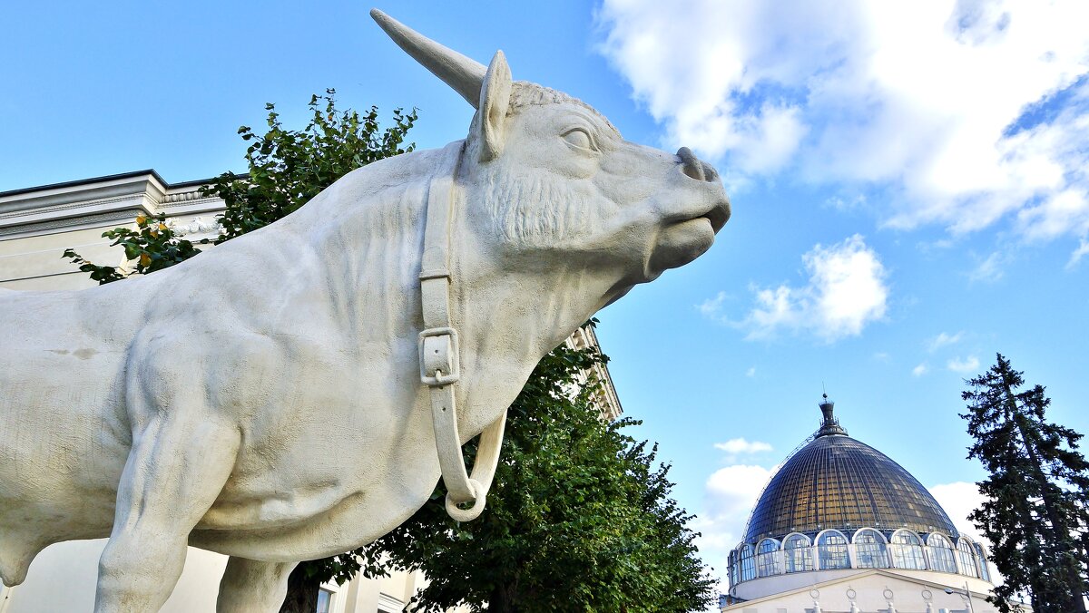 ВВЦ - АЛЕКСАНДР 