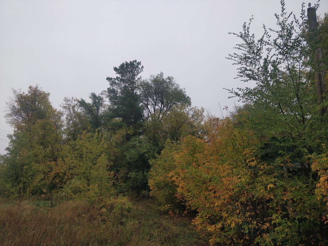 После дождичка в четверг... - Андрей Хлопонин