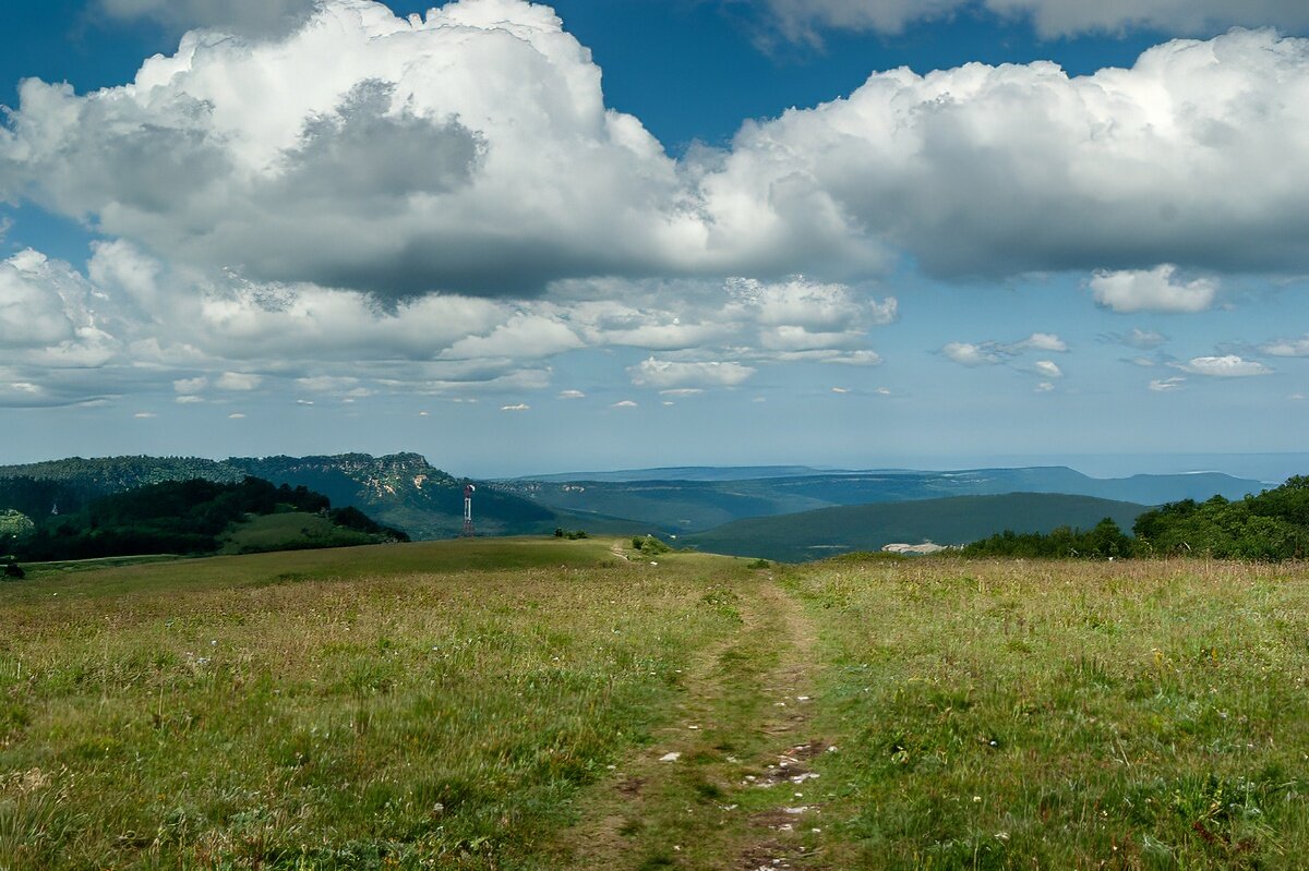 Плато Лаго-Наки, июль - Игорь Сикорский Плато Лаго-Наки, июль - Игорь Сикорский