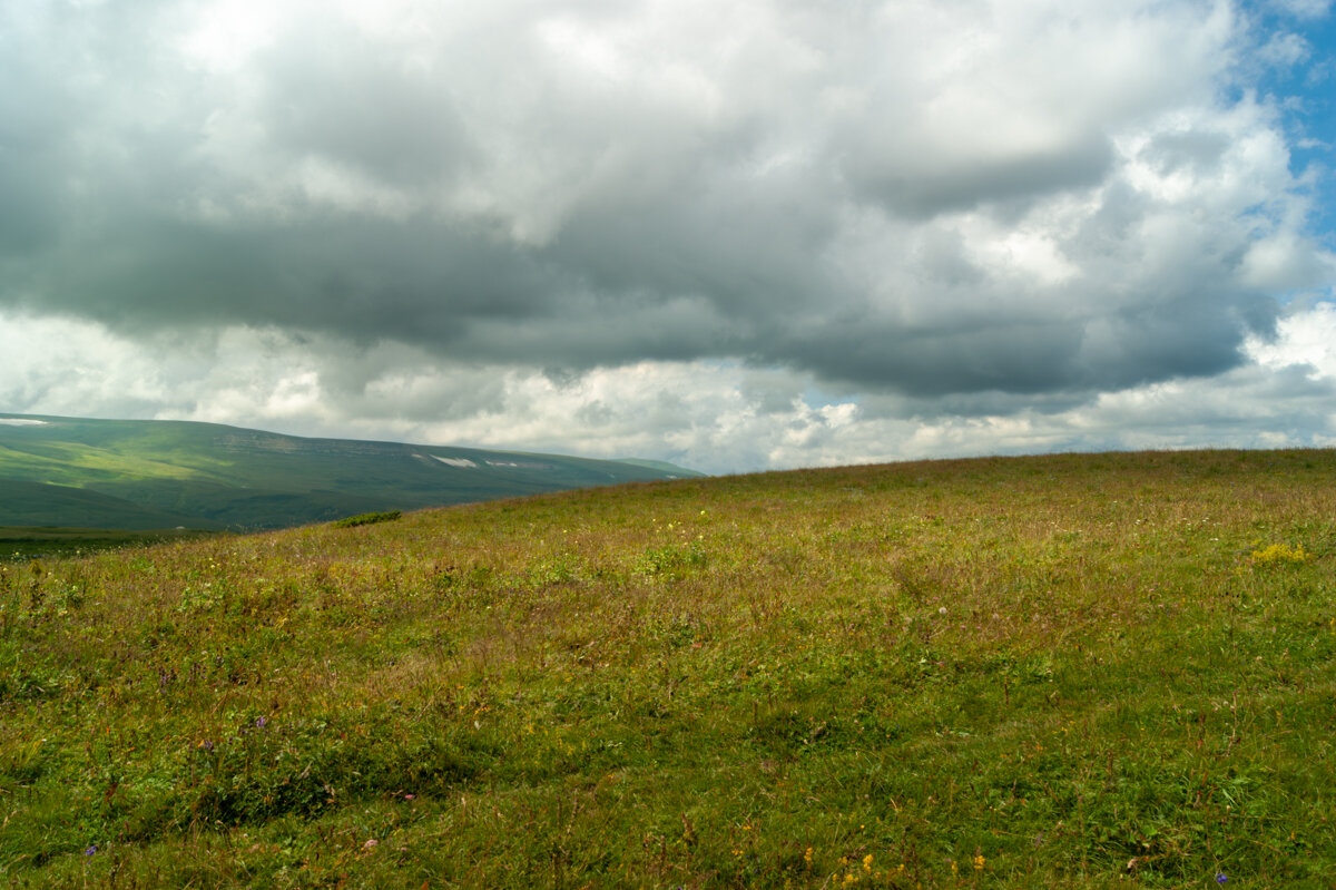 Плато Лаго-Наки, июль - Игорь Сикорский Плато Лаго-Наки, июль - Игорь Сикорский