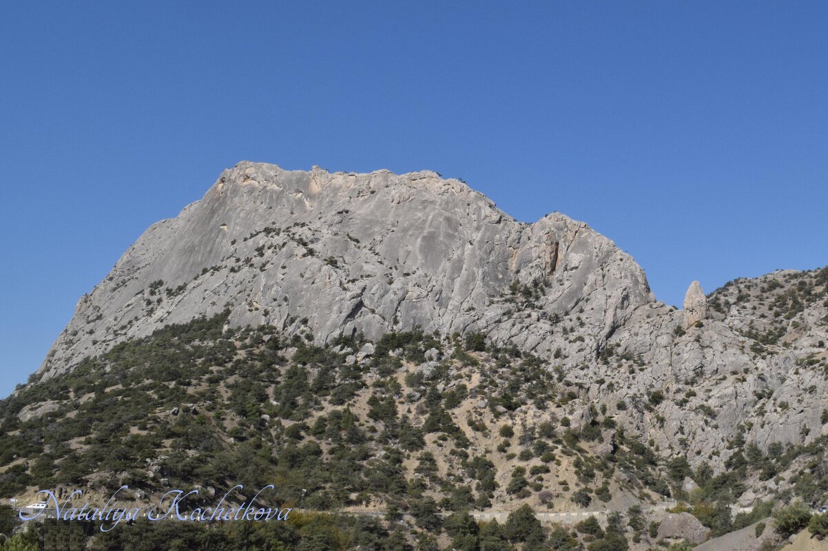 Природа Крыма - Amazing Cosmea