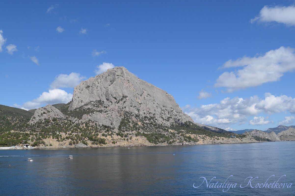 Природа Крыма - Amazing Cosmea