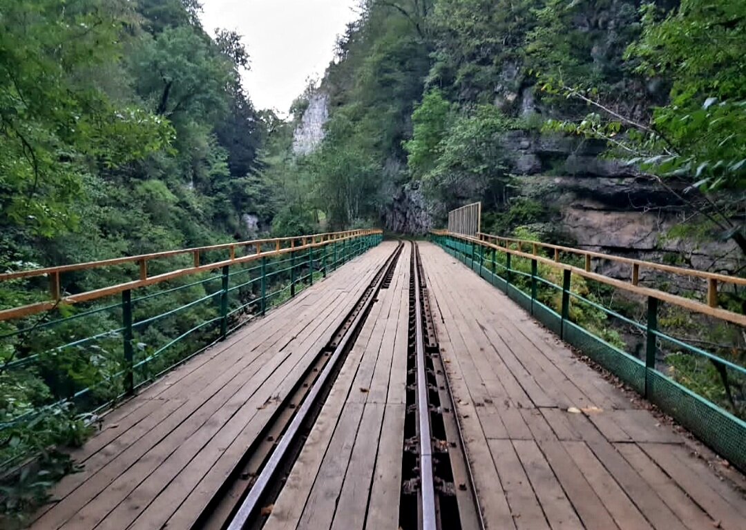 ГУАМСКОЕ УЩЕЛЬЕ - Tata Wolf