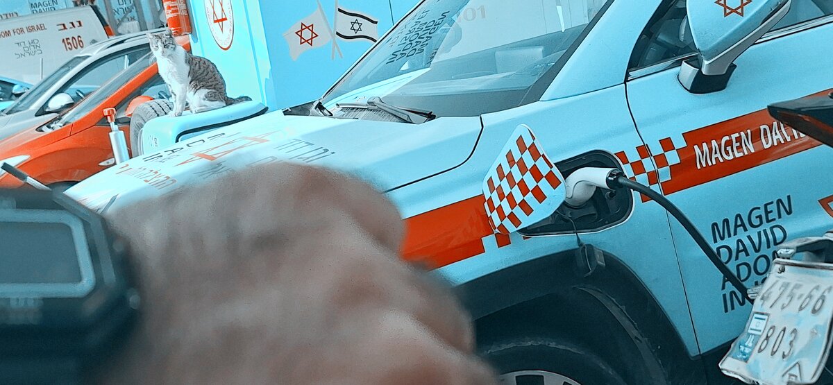 13  ОПЕН (330) - OPEN WAYS ALL