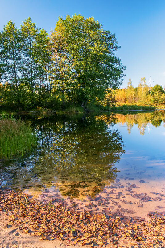 *** - Игорь Чичиль