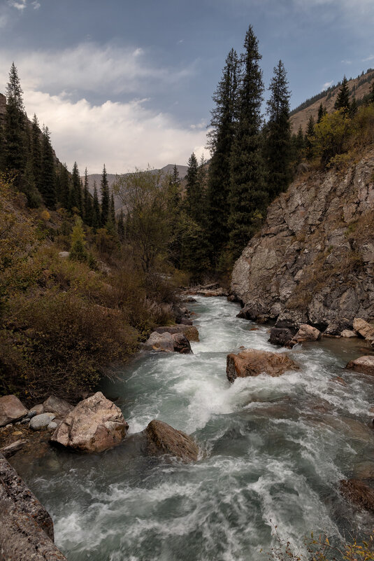 В поход! 2 - Алексей Большаков