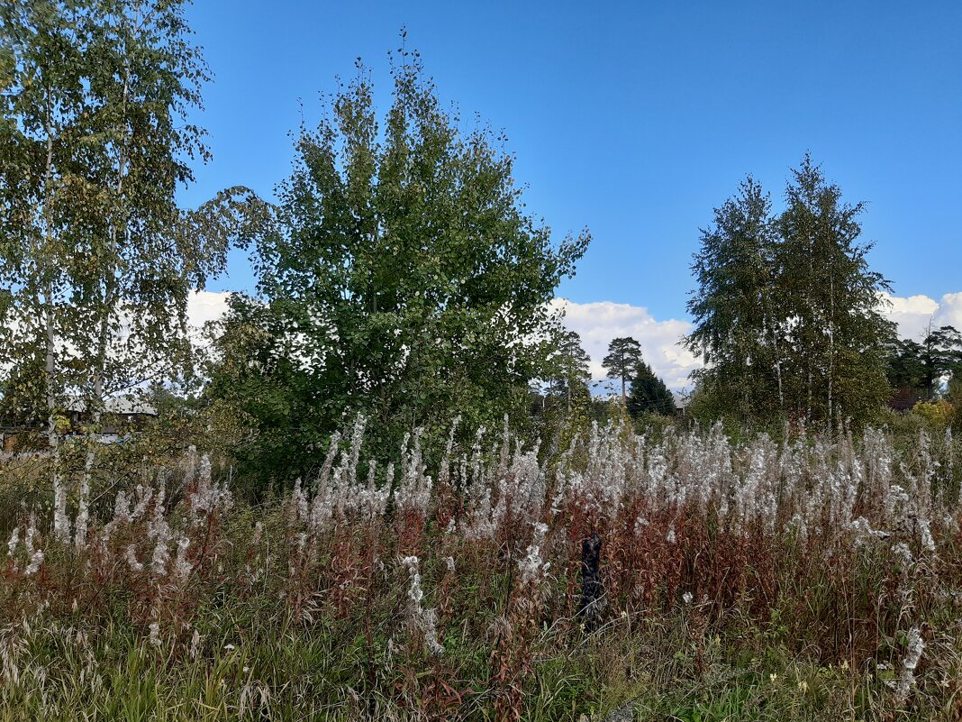 Вот и осень - Галина Минчук