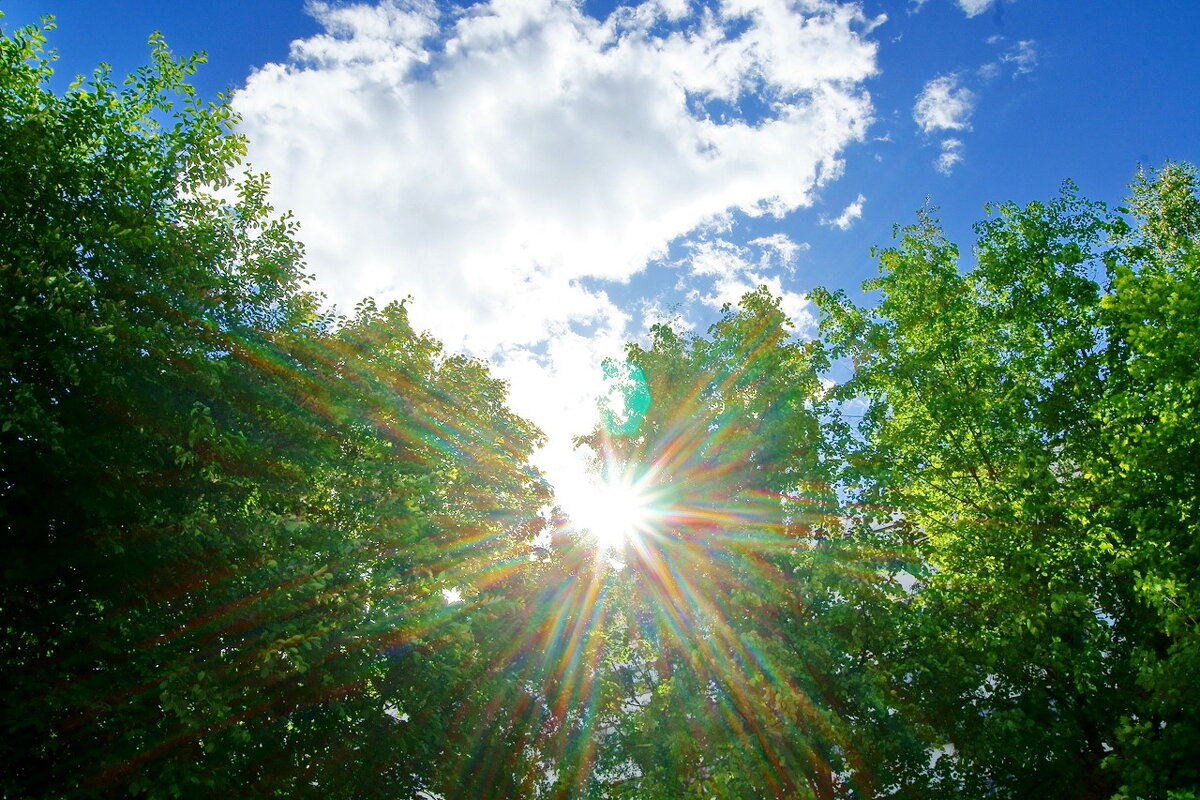 Солнце 1 - Игорь Тельцов