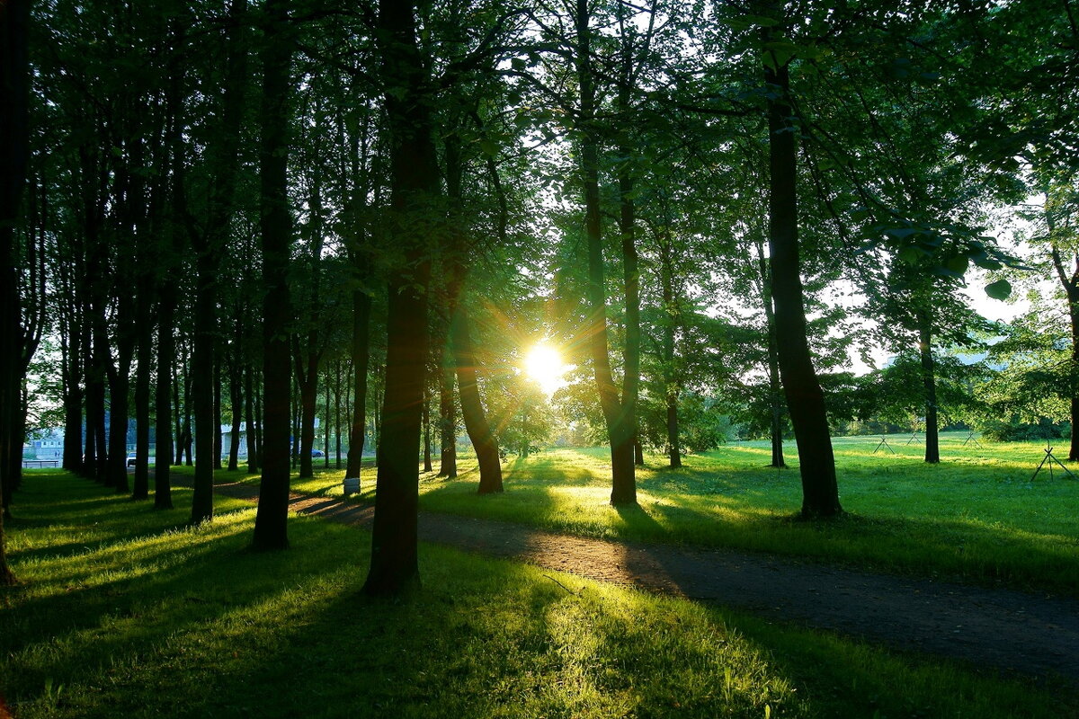 Солнце 3 - Игорь Тельцов