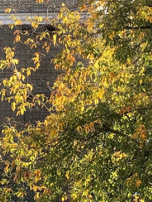 Солнечная осень - Татьяна Юрасова