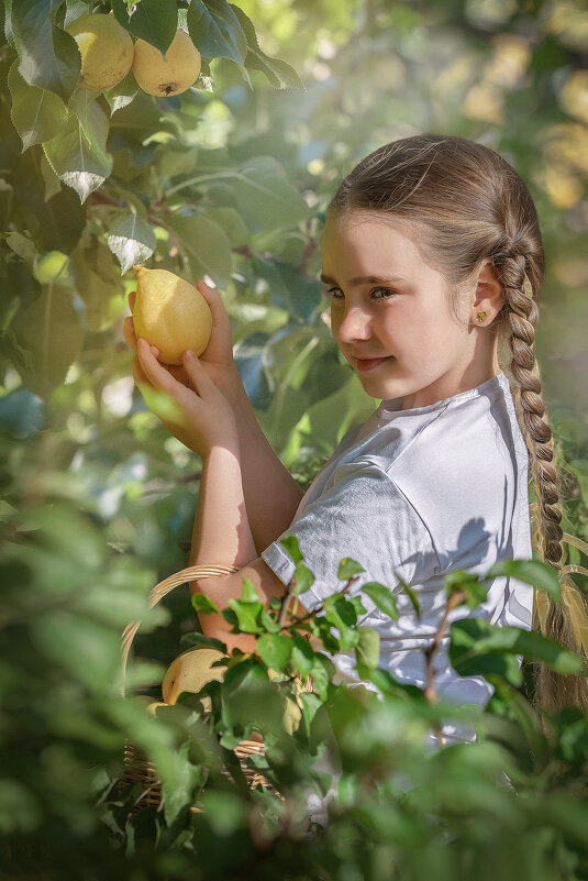 Эмилия - Svetlana Galvez