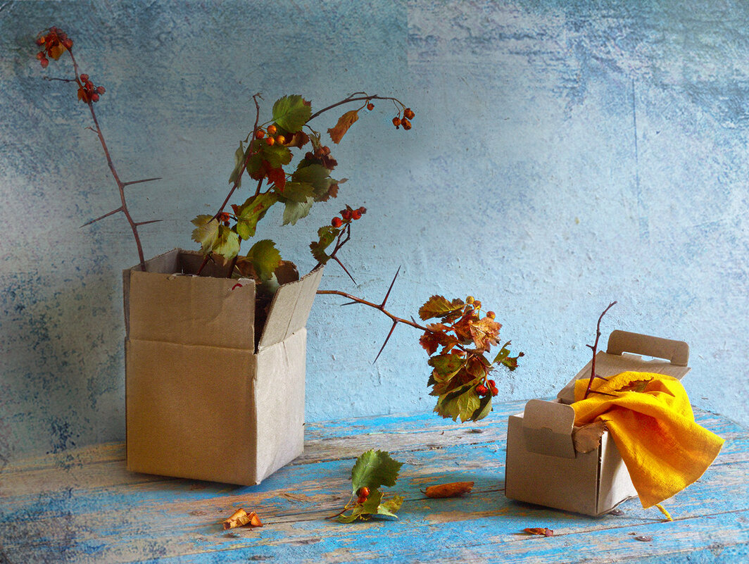 коробочки и боярышник - Наталья S