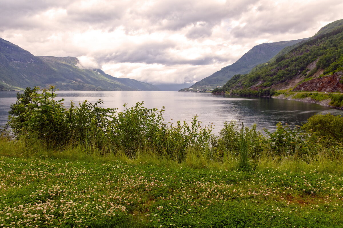 Hardangerfjord - Roman Ilnytskyi