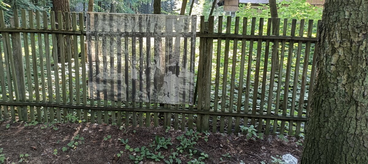 необычные картины - Галина R... необычные картины - Галина R...