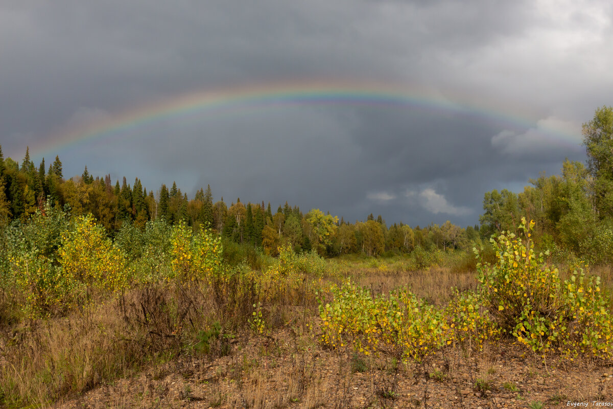 Осенняя радуга - Евгений Тарасов 