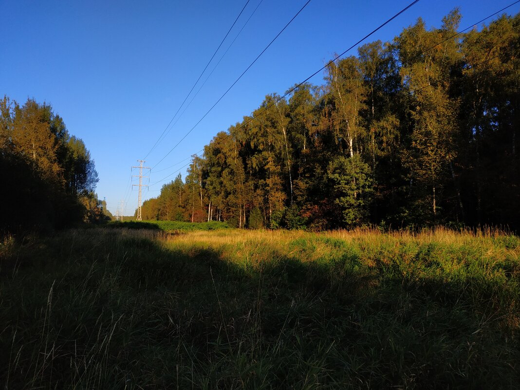 Бабье лето в Измайловском парке - Андрей Лукьянов
