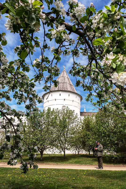 Ростов Великий. Весна в монастырском саду - Galina 
