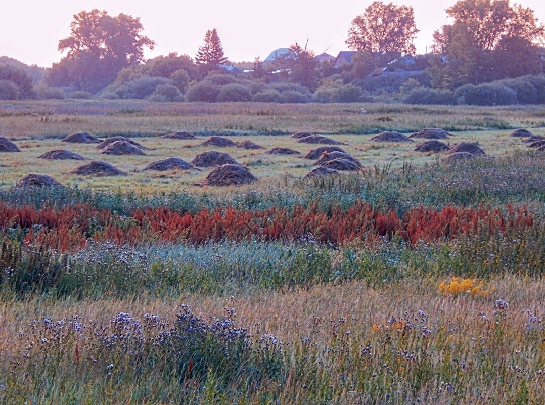 В туманной дЫмке горизонт! - Елена Хайдукова  ( Elena Fly )