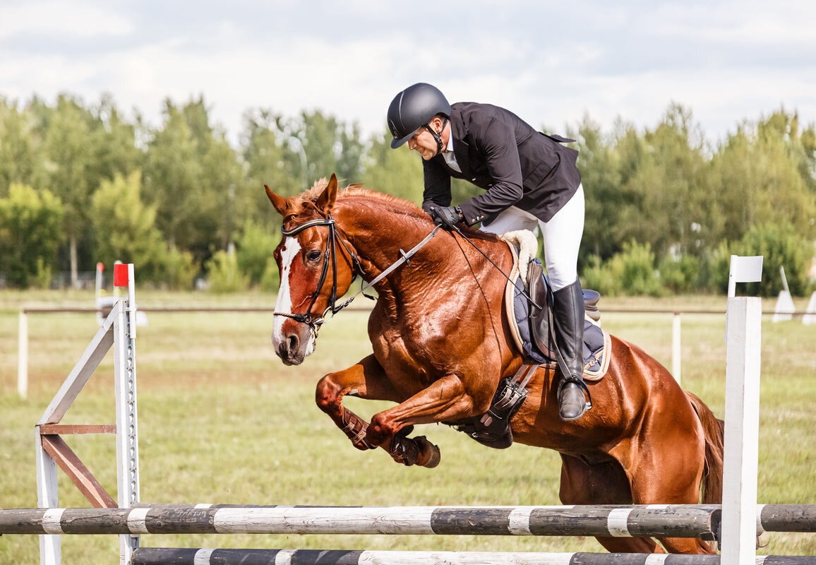 Конкур - SanSan 