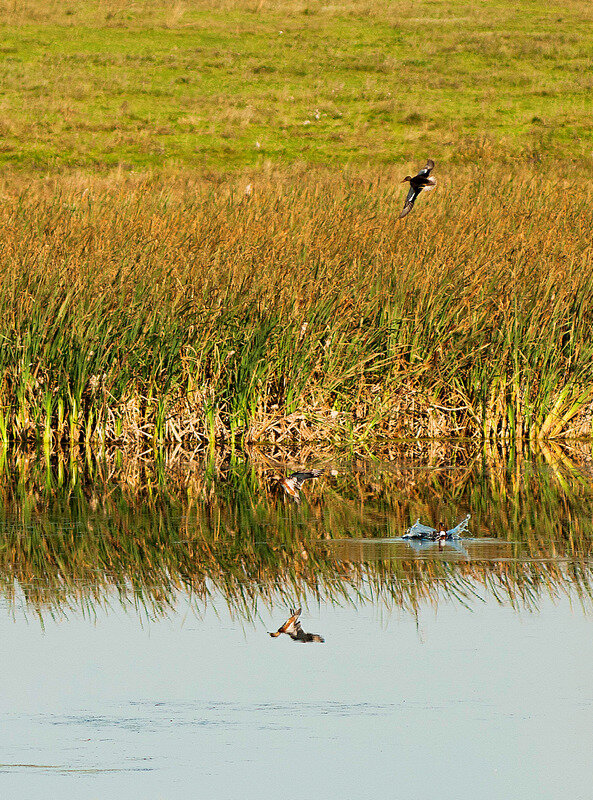 Природа Хакасии - Евгений Природа Хакасии - Евгений