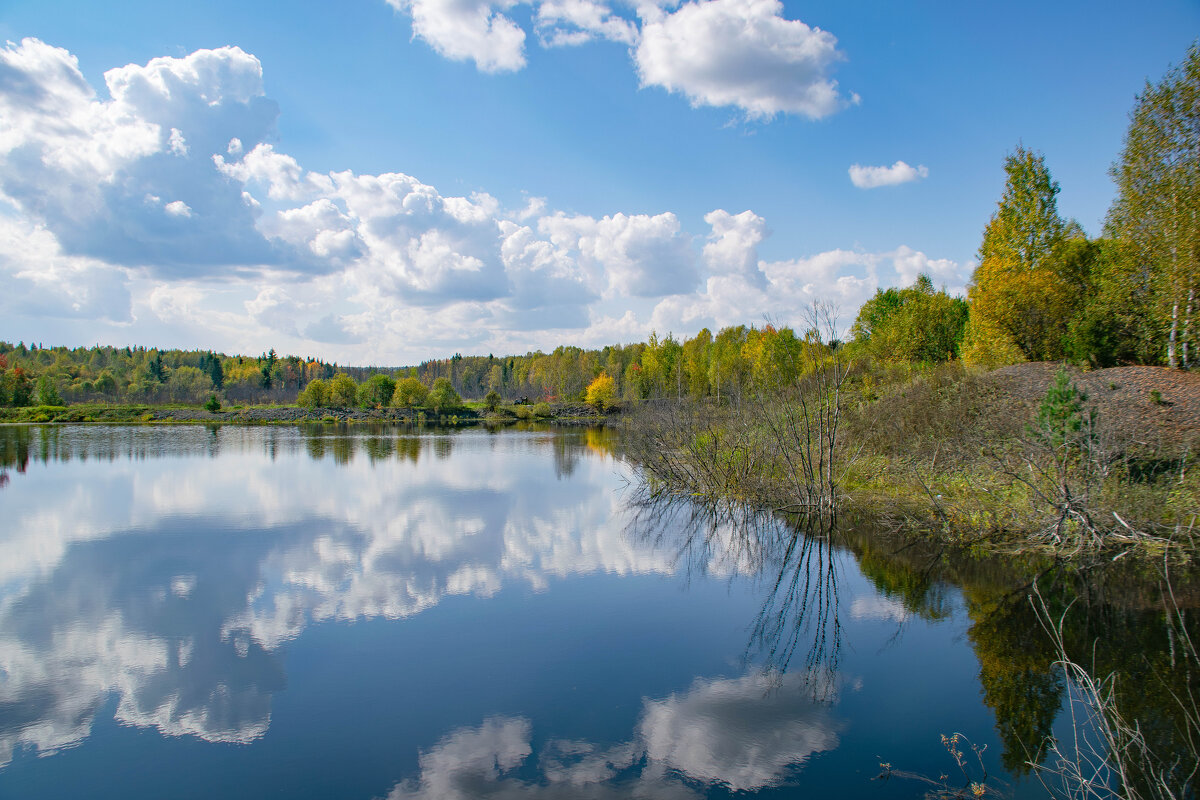 - - Владимир Мигонькин - - Владимир Мигонькин