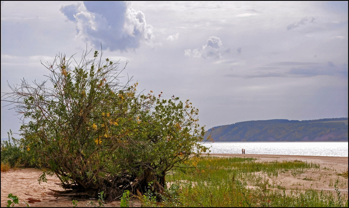 Волга - **** vedin