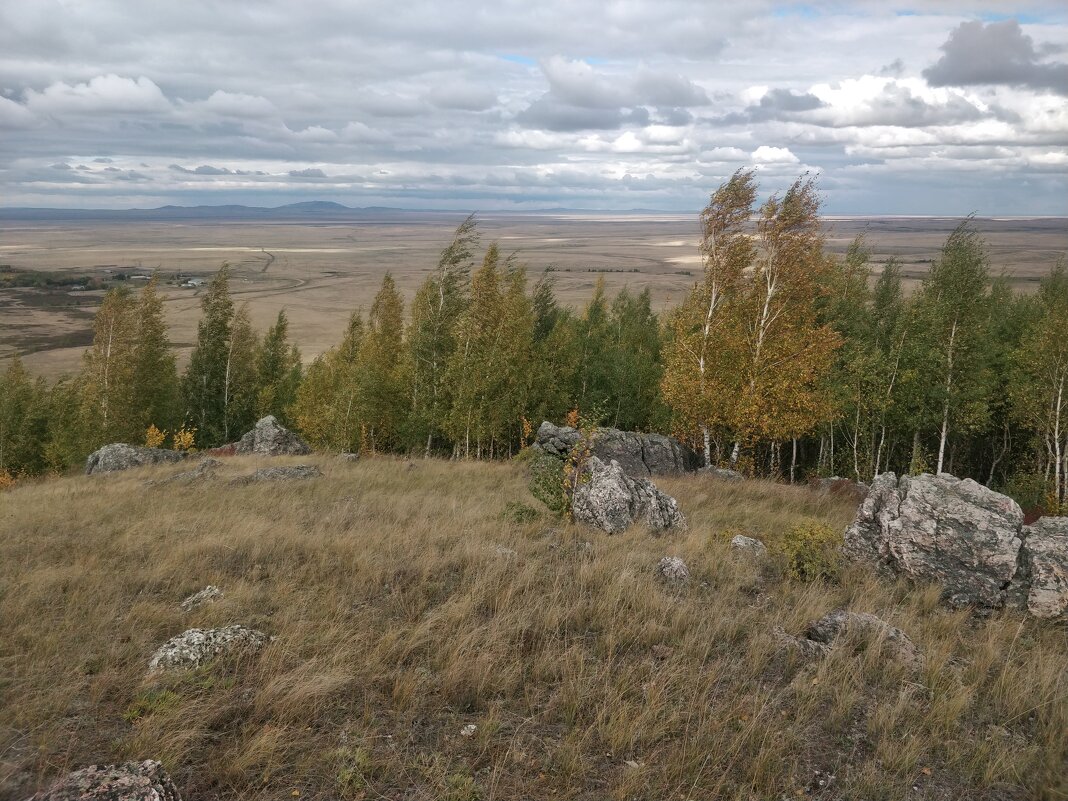 Сказка в лесу - Андрей Хлопонин