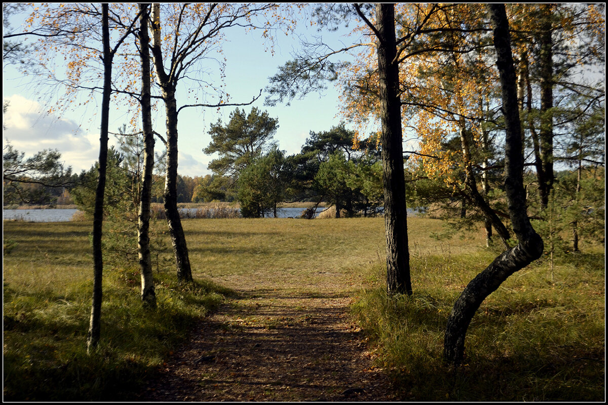 Прекрасная пора - Aleksandr Gal