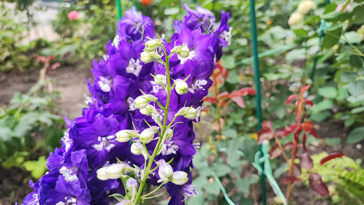 ,,, - Сергей Тимоновский