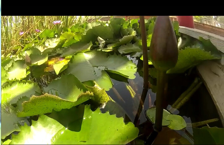 113 (91) - CLOSE WAYS ALL