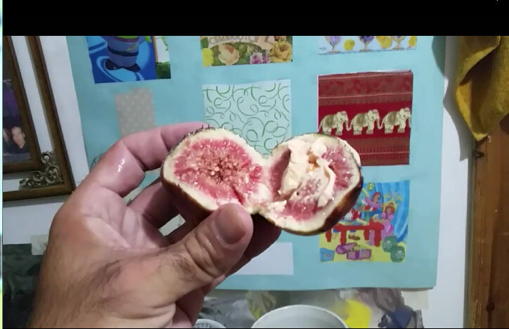 113 (94) - CLOSE WAYS ALL