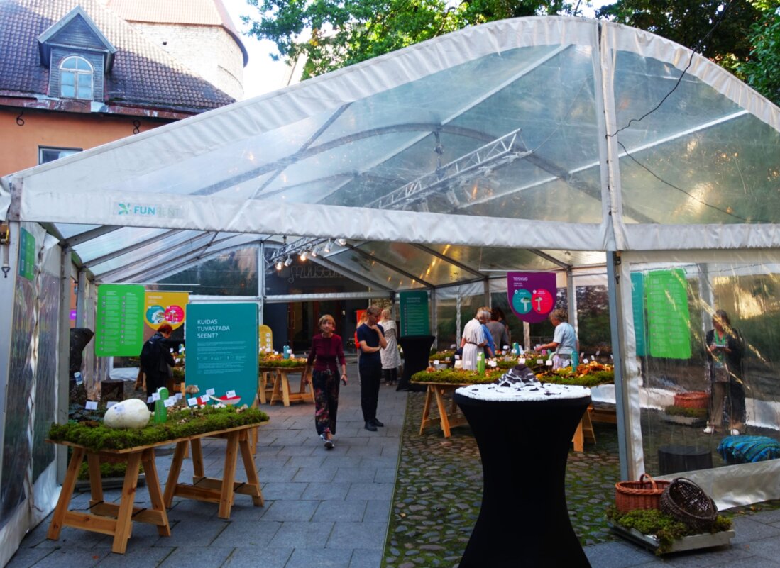 Выставка грибов около Музея природы - Aida10 