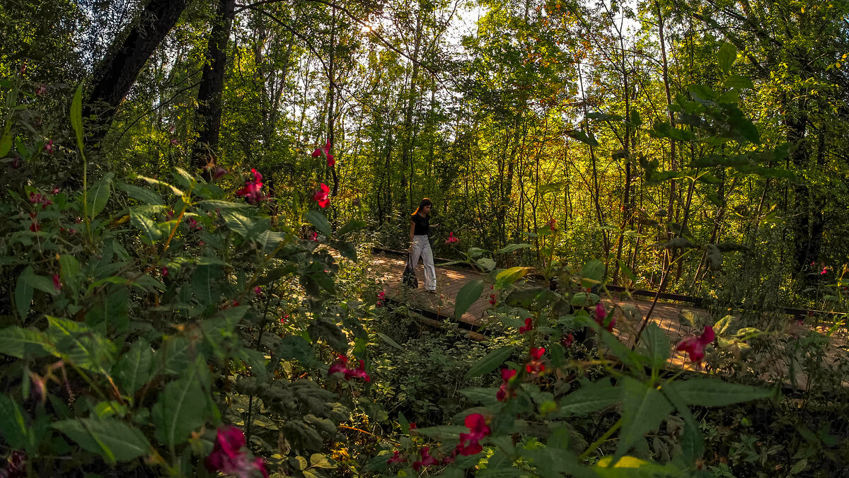 ***** - юрий поляков