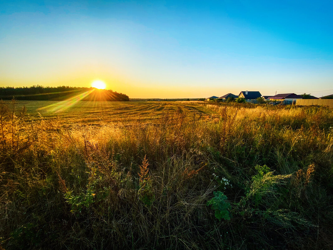 *** - Игорь Чичиль