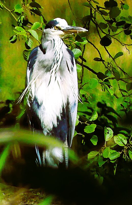 Маскировка - Владимир Манкер Маскировка - Владимир Манкер