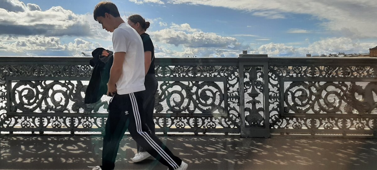 пейзаж решёткой моста из окна такси - sv.kaschuk 