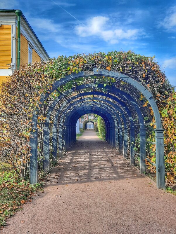 Кусково - Irene Irene