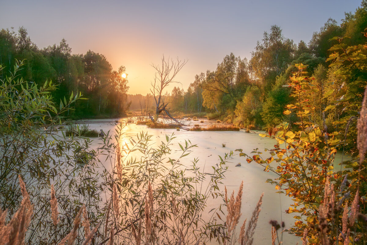 Золото заката - Сергей 