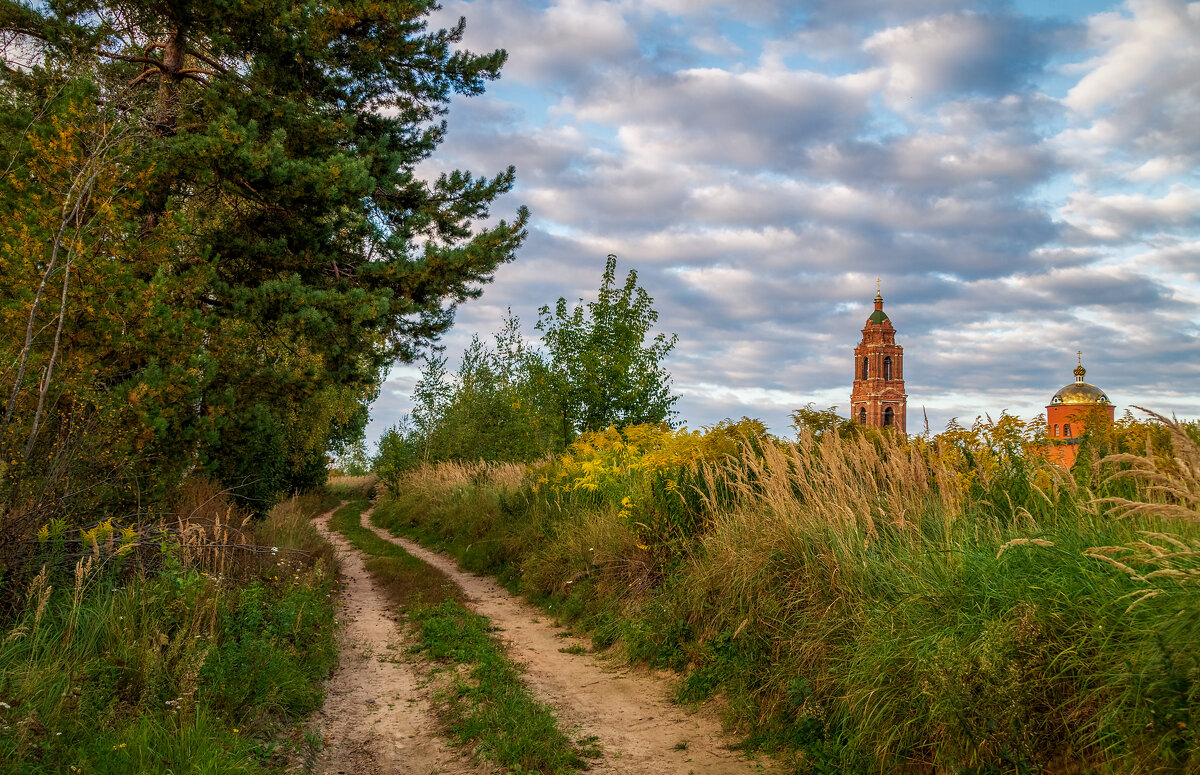 Дорога к храму. - Андрей Дворников
