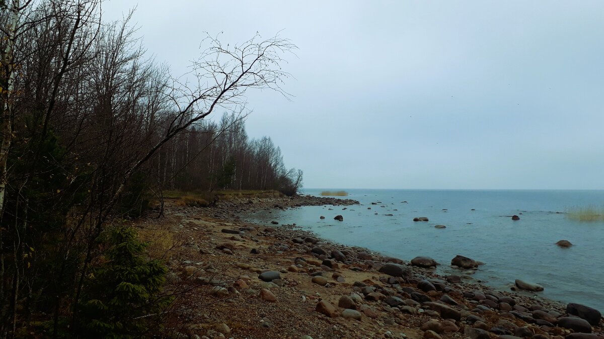 Глубокая осень - Хватова Марина 