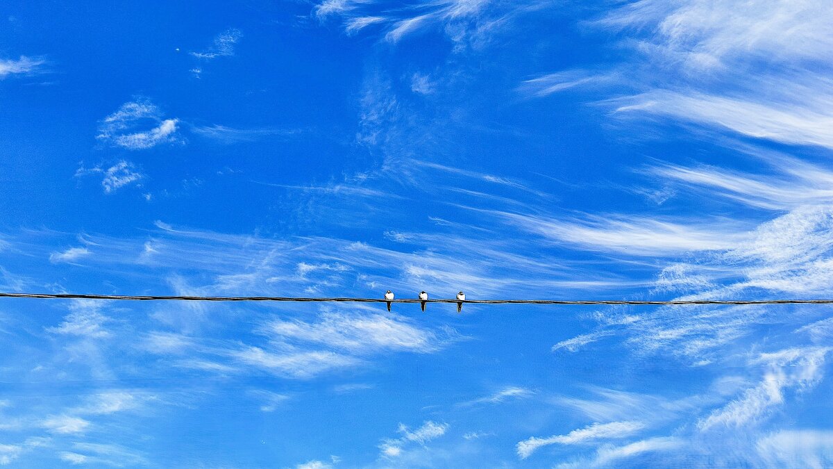 Высоко-высоко  сидим - Hope 