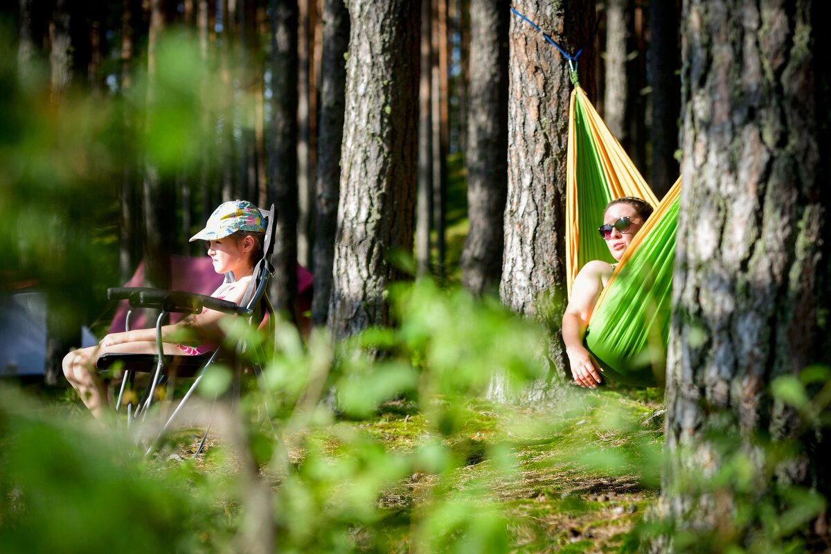 summer - Artjom Romanov