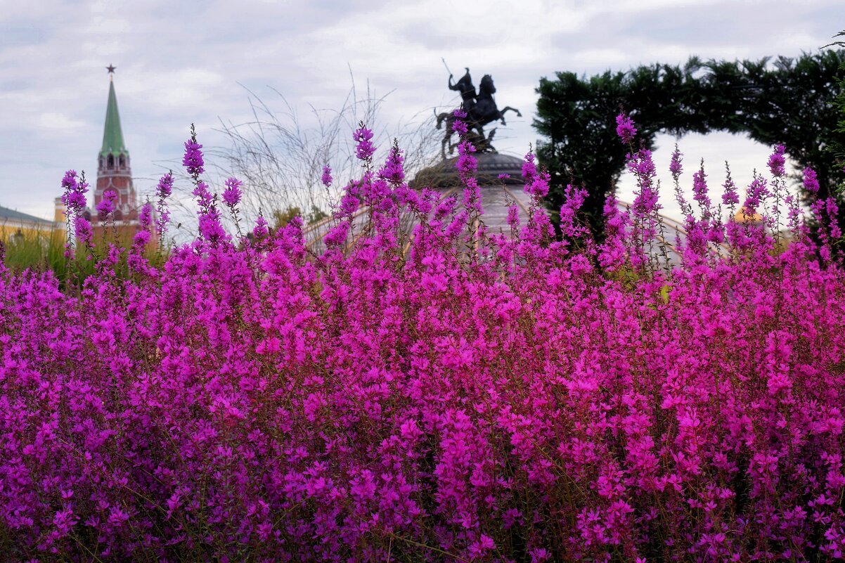 Лучший город Земли! - Татьяна Помогалова
