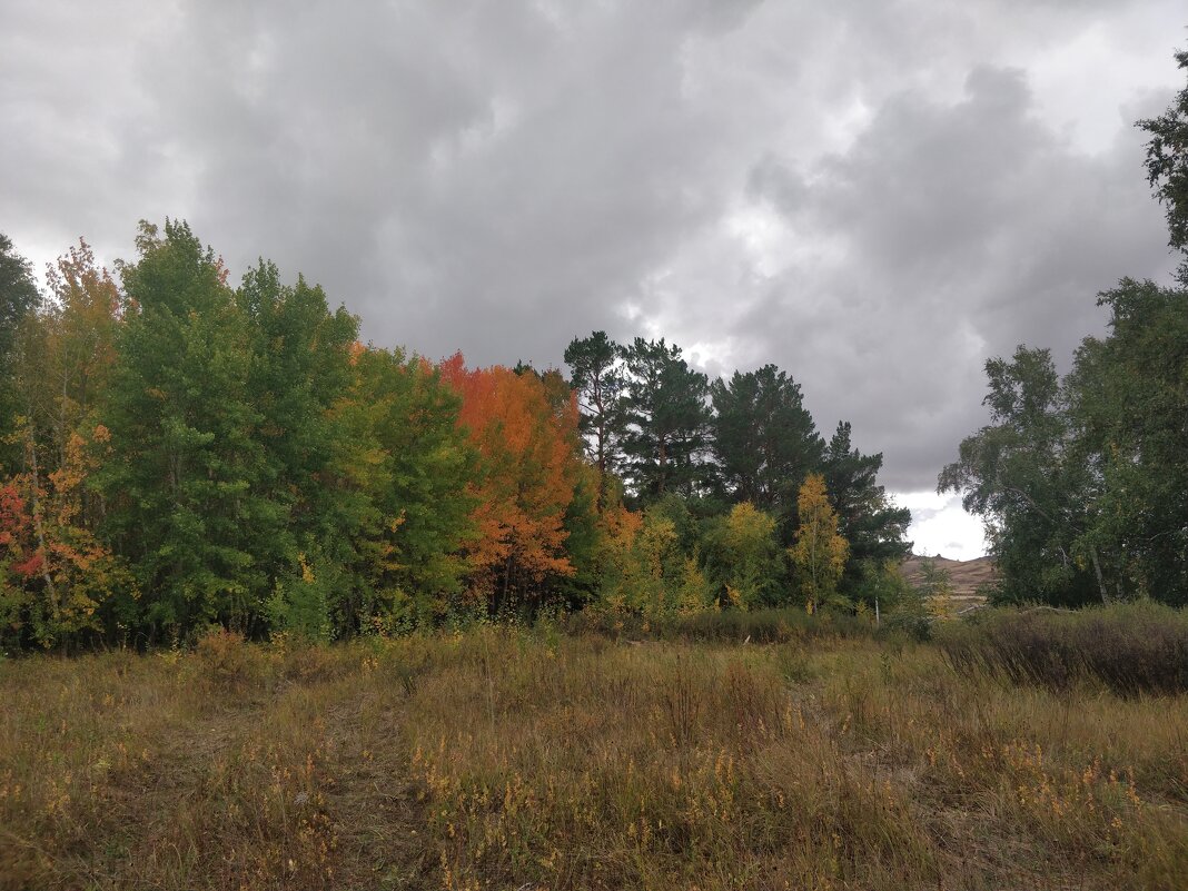 Краски осени.Спортивный поход. - Андрей Хлопонин